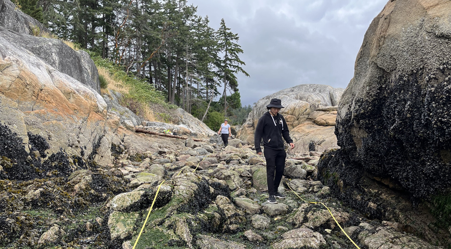 Seasonal Seaweed Diversity in the Intertidal Zones of Greater Vancouver