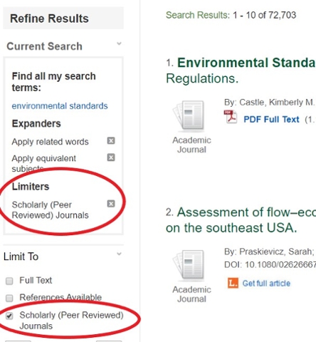 Scholarly articles filter checkbox