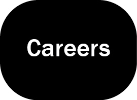 Career Paths