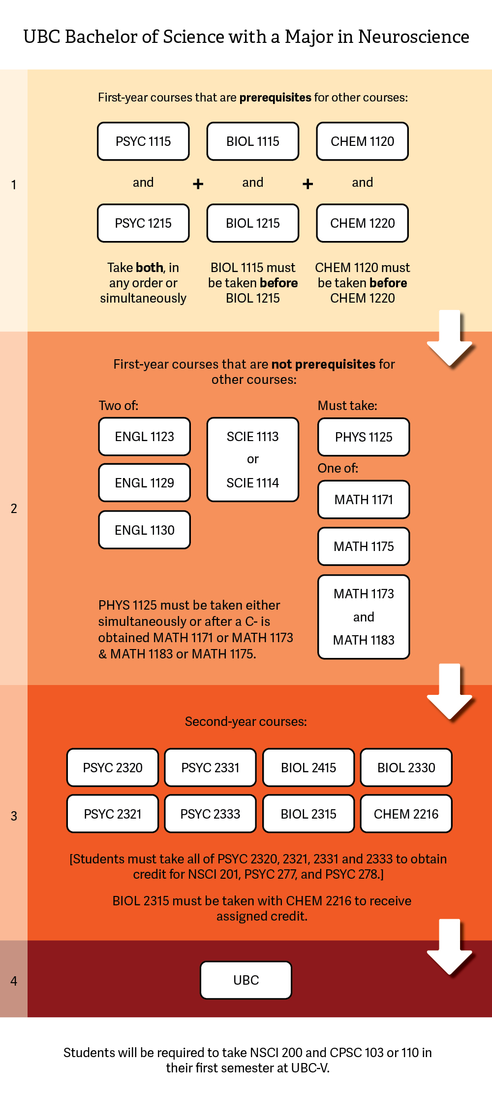 PSYC-UBCPathwaytoNeuroscience_2023-03-28.jpg