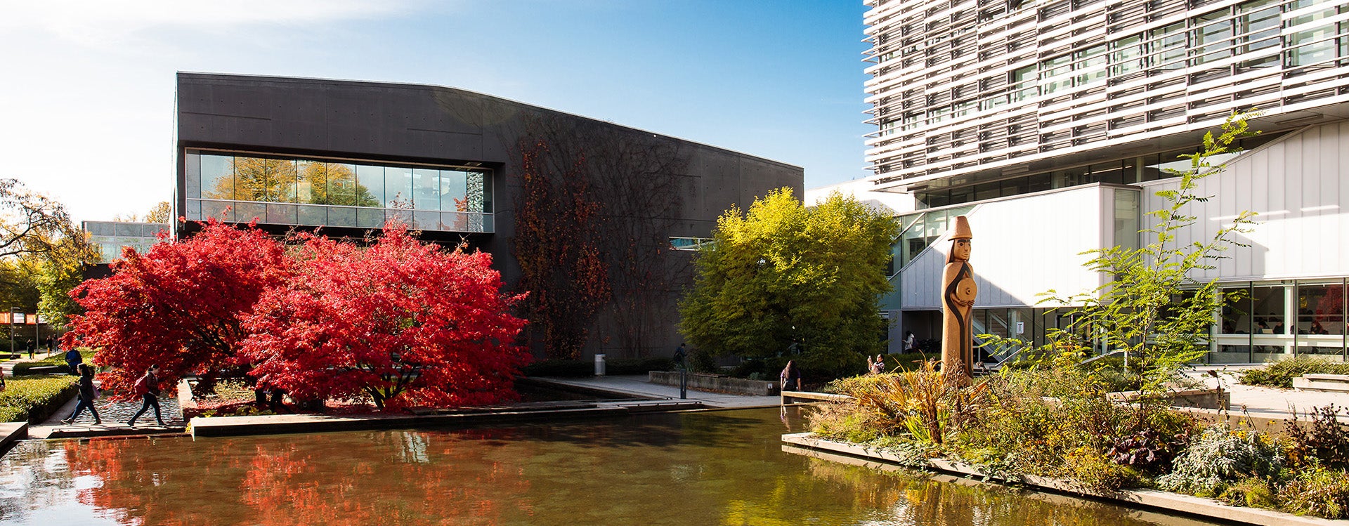 library in fall