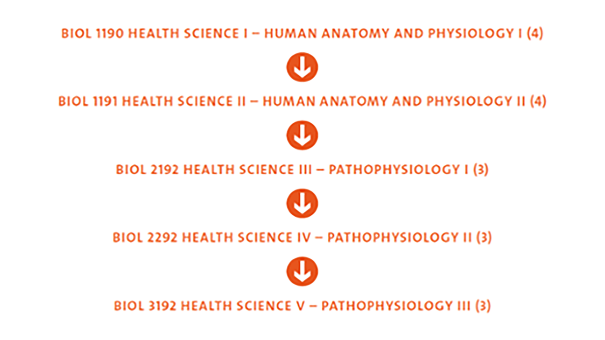  Biology students applying for the Nursing program can take BIOL 1190, BIOL 1191, BIOL 2192, BIOL 2292 and BIOL 3192.